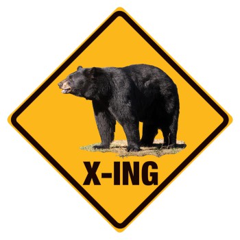 Black Bear X-ing